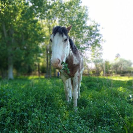 La Matera Posada De Campo San Rafael  Kültér fotó