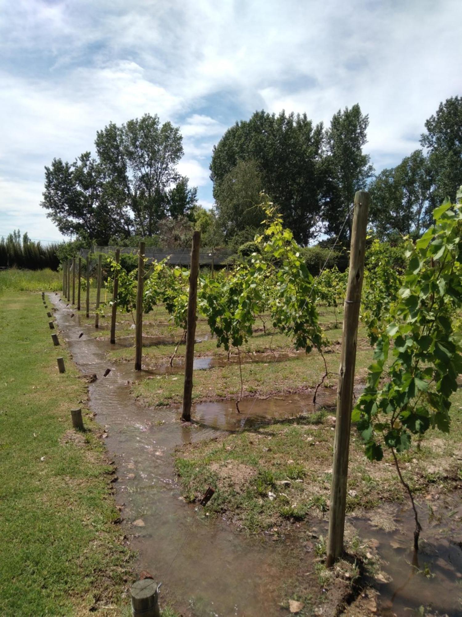 La Matera Posada De Campo San Rafael  Kültér fotó