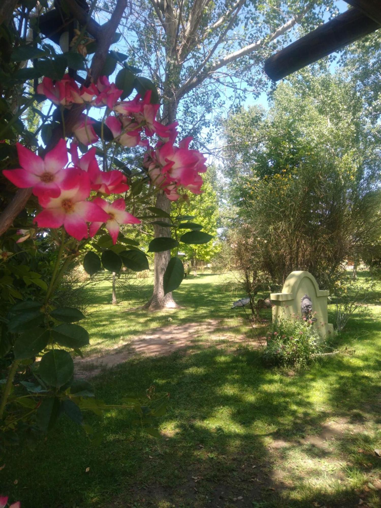 La Matera Posada De Campo San Rafael  Kültér fotó